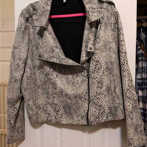 Light jacket - Picture 5 of 5